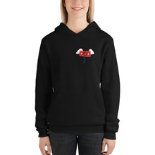 Load image into Gallery viewer, Banks are Parasites Hoodie (Bella + Canvas)